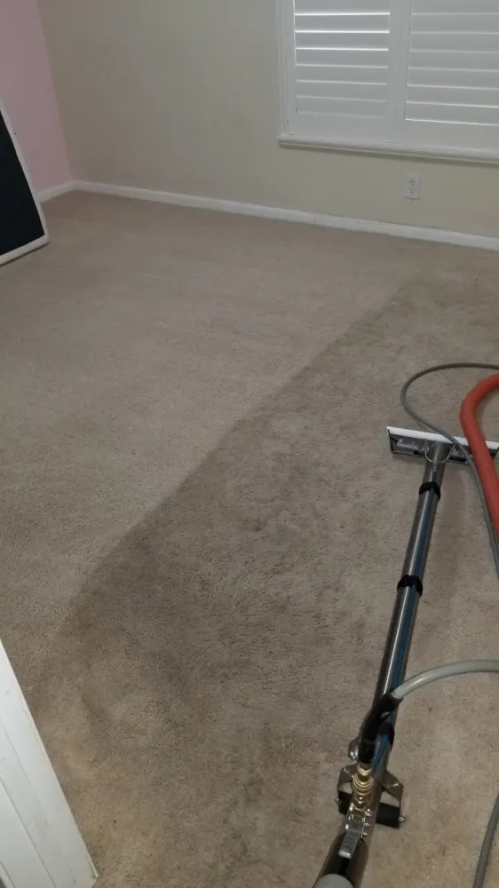 Carpet wand leaving clean stripes across a bedroom carpet