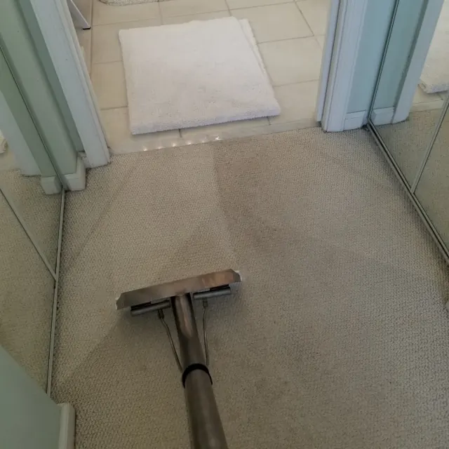 Hallway carpet half cleaned, before and after