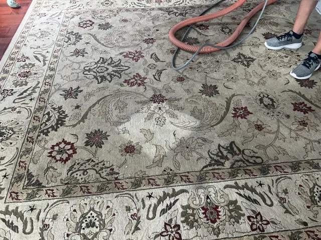 Wool area rug being steam cleaned in the home