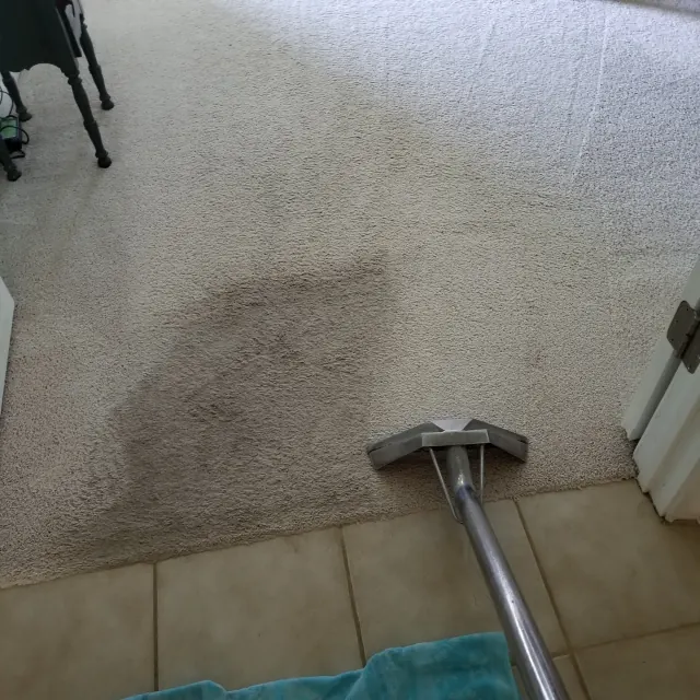 Tile floor partly cleaned, with dirty grout on one side