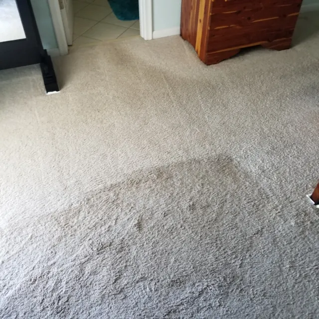 Bedroom carpet half cleaned